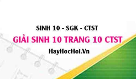 Giải Sinh 10 trang 10 Chân trời sáng tạo SGK
